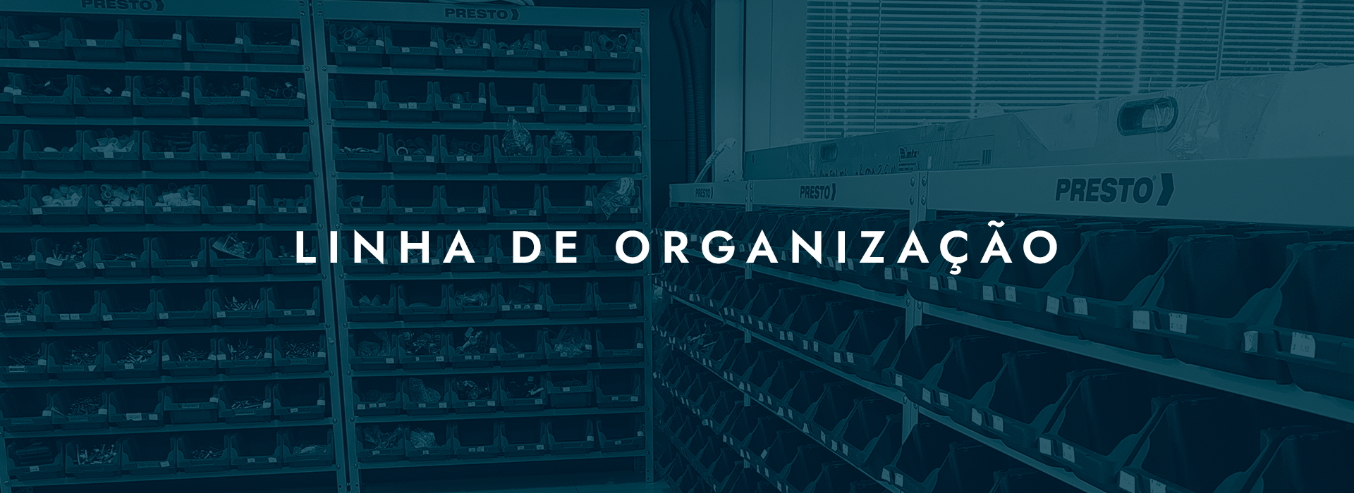 LINHA-DE-ORGANIZAÇÃO-LOJA-ARG