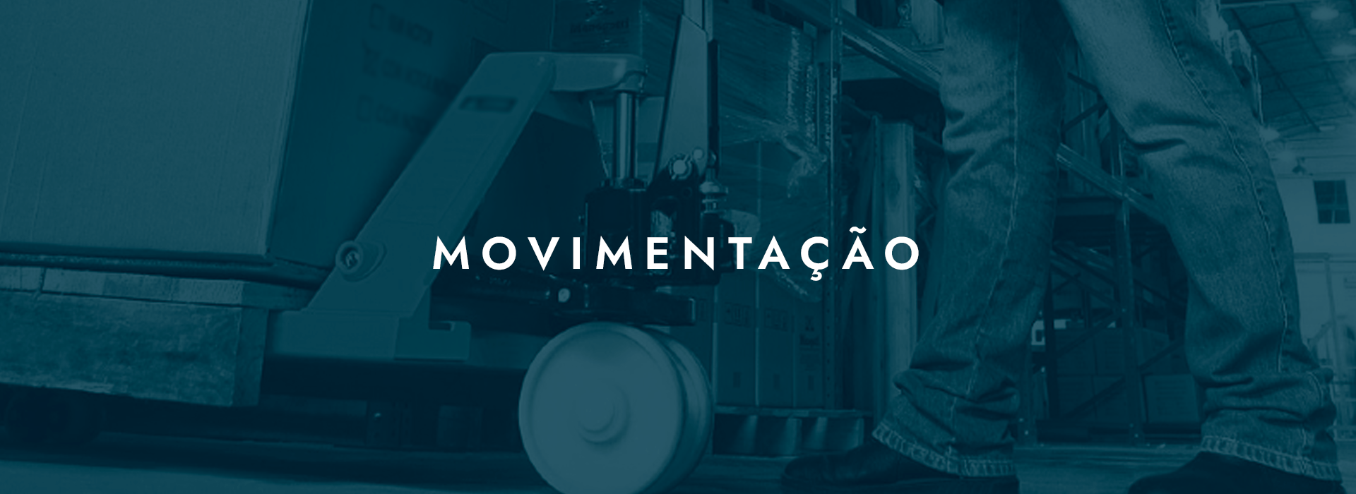 movimentacao-loja-arg-produtos